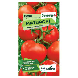 Семена Seminis томат матиссимо f1